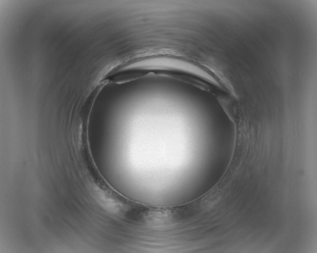 X0000079330110200611251841