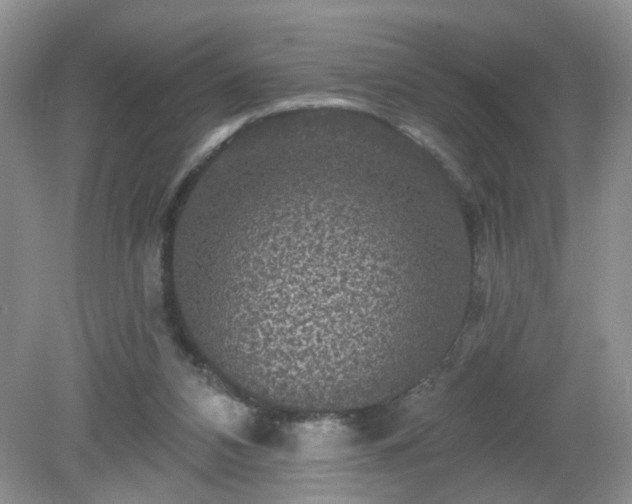 X0000079330112200611251841