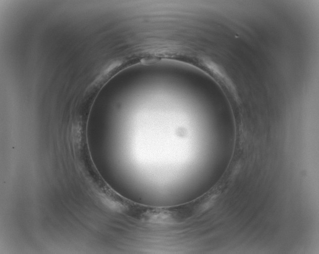 X0000079330113200611251841