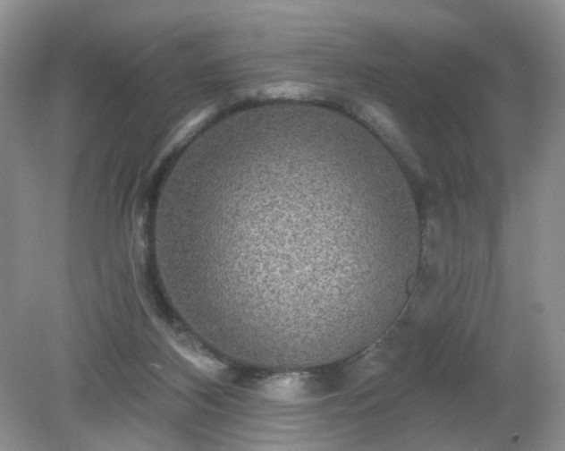 X0000079330116200611251841