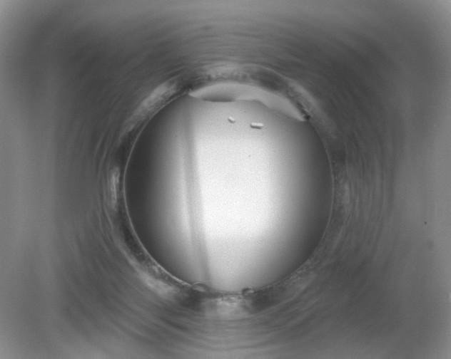 X0000079330118200611251841