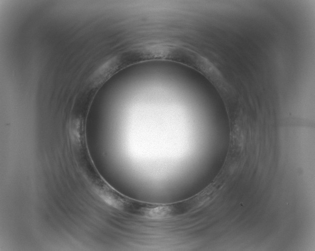 X0000079330122200611251841