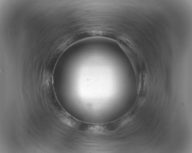 X0000079330125200611251841