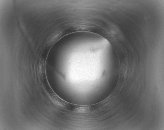 X0000079330126200611251841