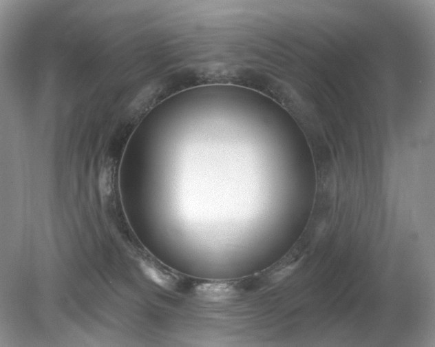 X0000079330133200611251841
