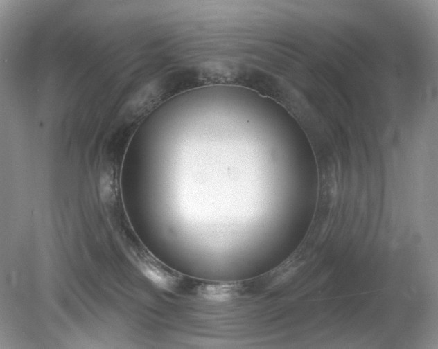 X0000079330134200611251841