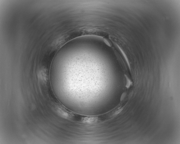 X0000079330135200611251841