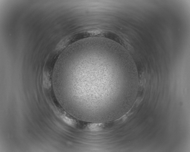 X0000079330136200611251841