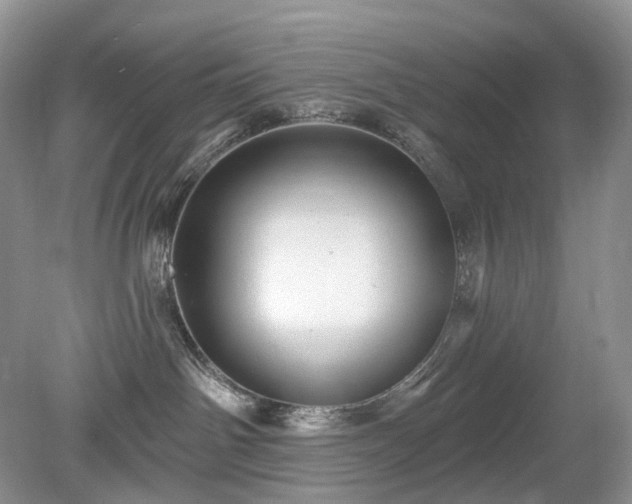 X0000079330142200611251840