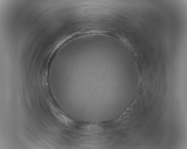 X0000079330146200611251840