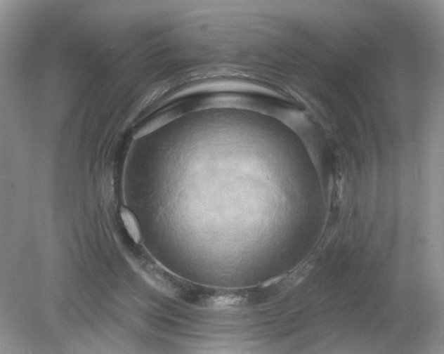 X0000079330158200611251840