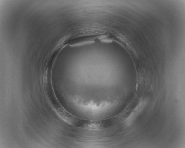 X0000079330163200611251840