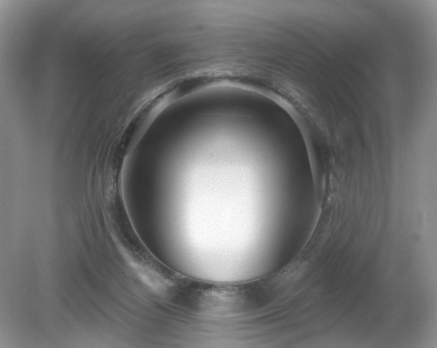 X0000079330164200611251840