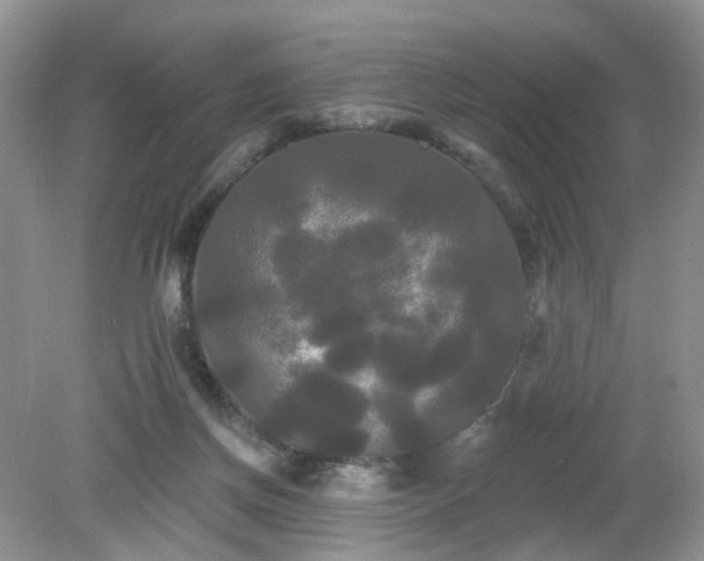 X0000079330166200611251840