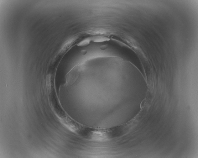 X0000079330167200611251840