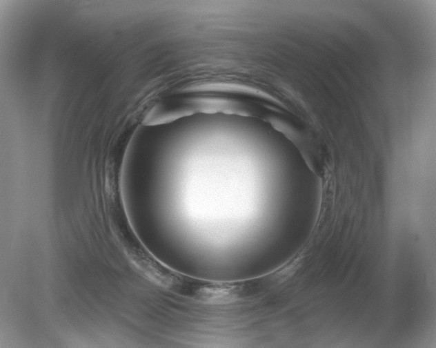 X0000079330170200611251840