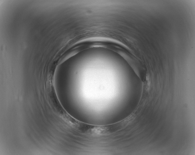 X0000079330172200611251840