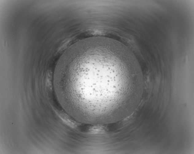 X0000079330175200611251840