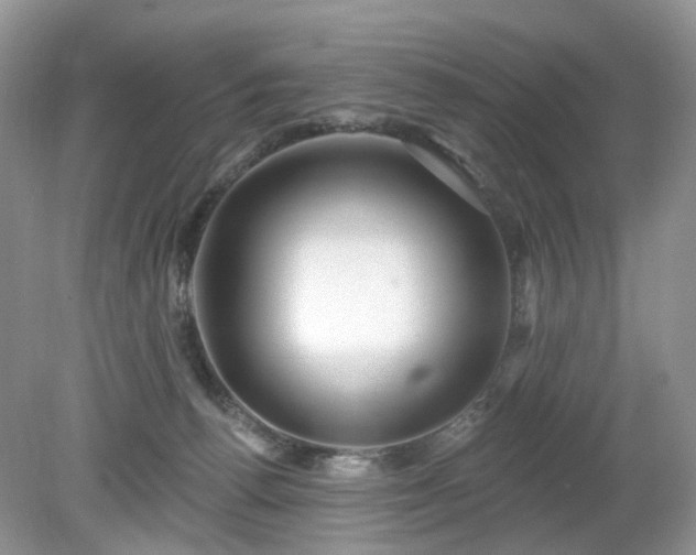 X0000079330176200611251840