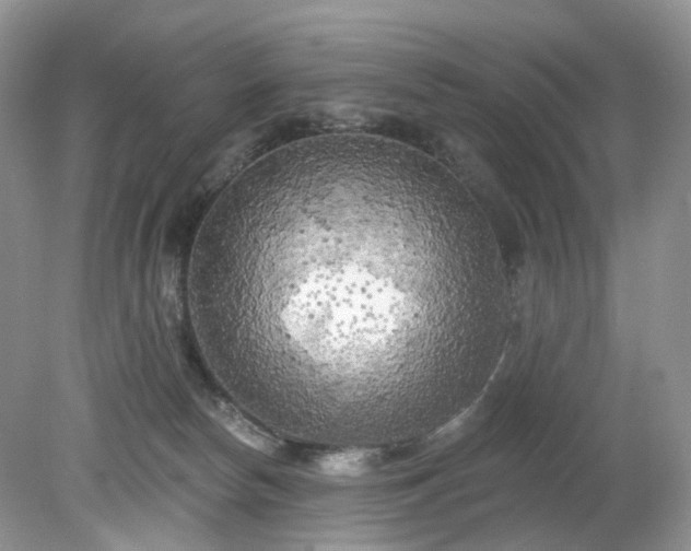 X0000079330178200611251840
