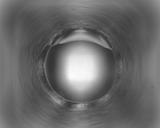 X0000079330184200611251840