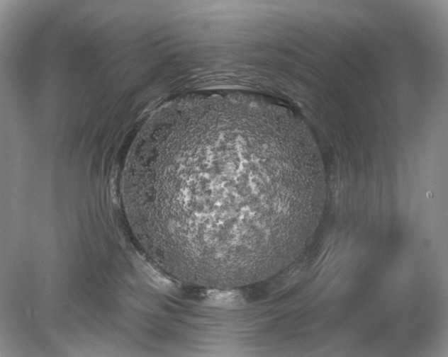 X0000079330185200611251840