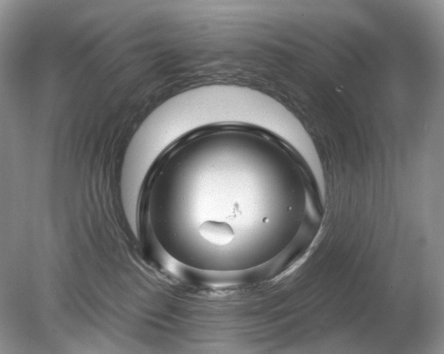 X0000079330186200611251840