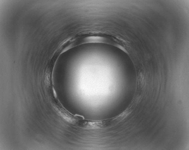 X0000079330188200611251840