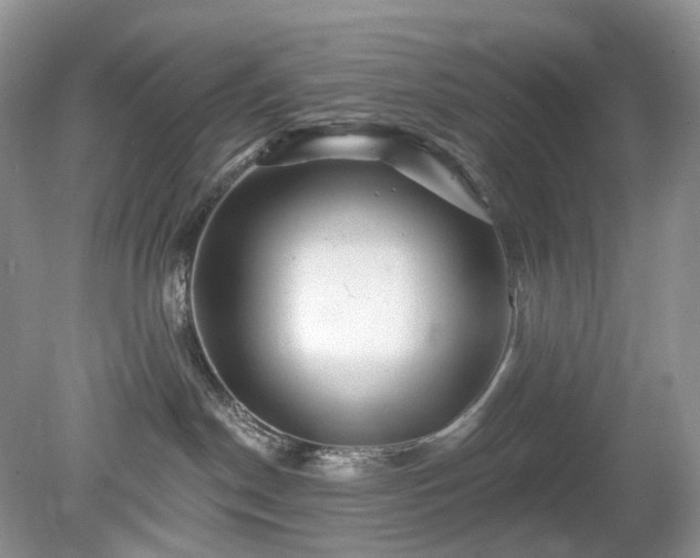 X0000079330190200611251840