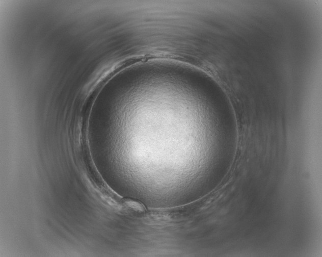 X0000079330194200611251840