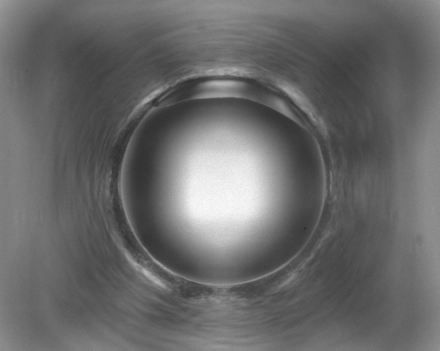 X0000079330201200611251840