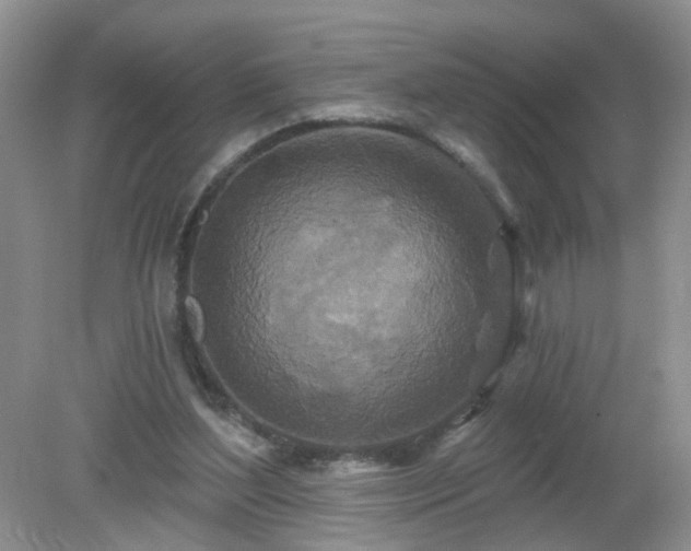 X0000079330204200611251839