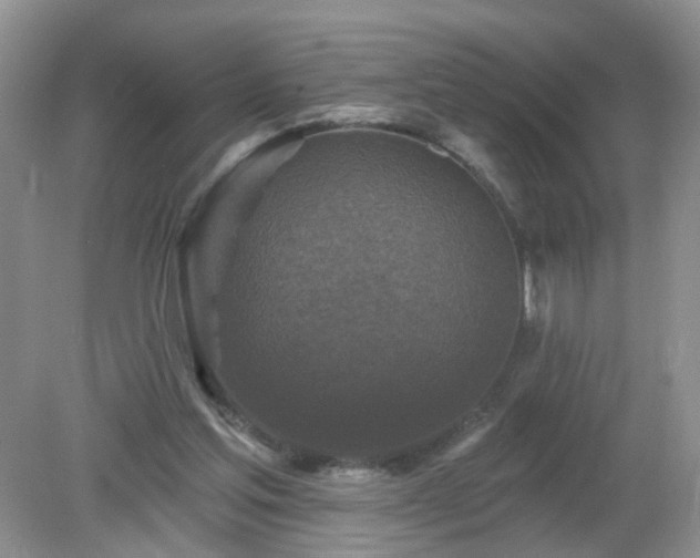 X0000079330205200611251839