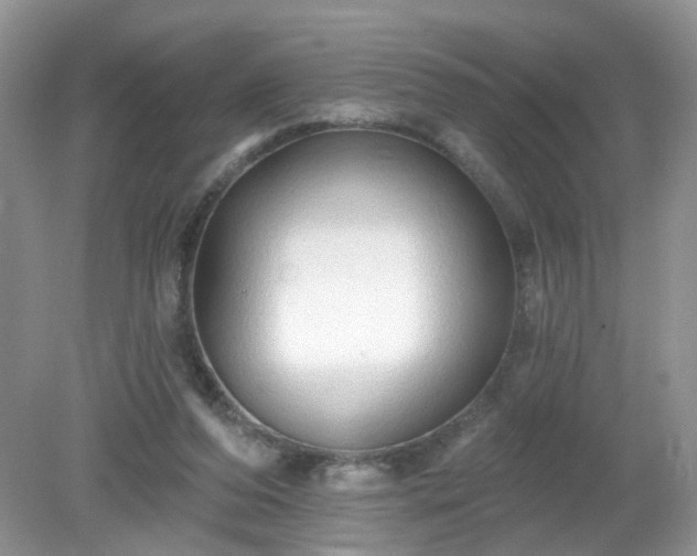 X0000079330208200611251839