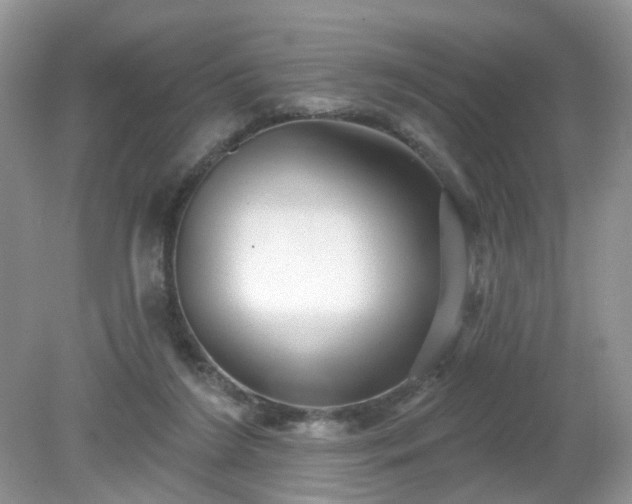 X0000079330212200611251839