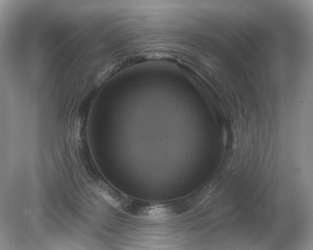 X0000079330219200611251839