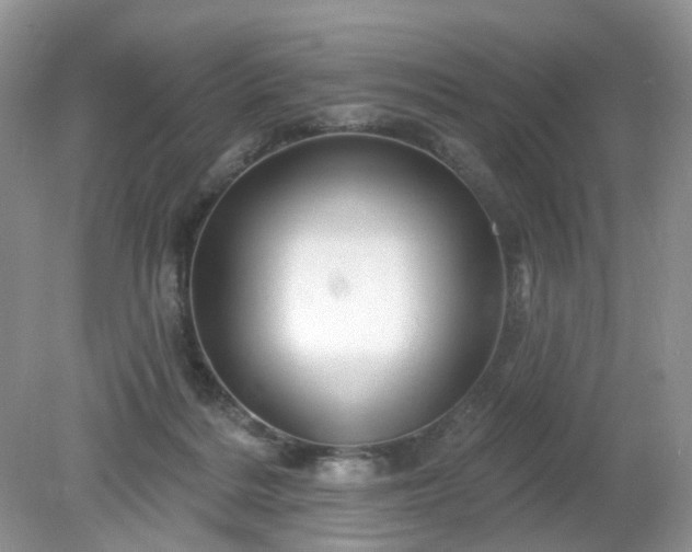 X0000079330220200611251839