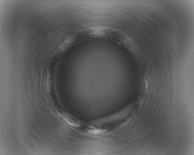 X0000079330223200611251839