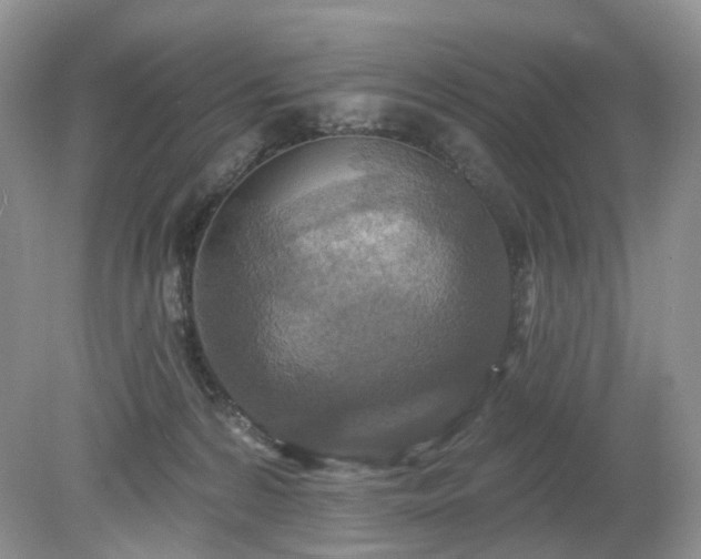 X0000079330224200611251839
