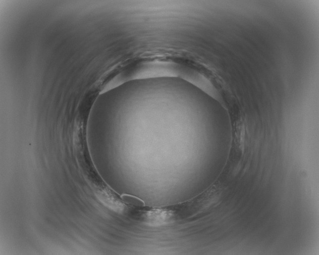 X0000079330225200611251839