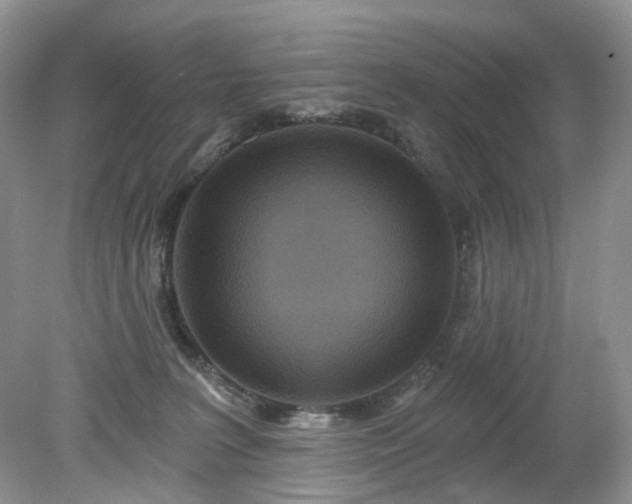 X0000079330227200611251839