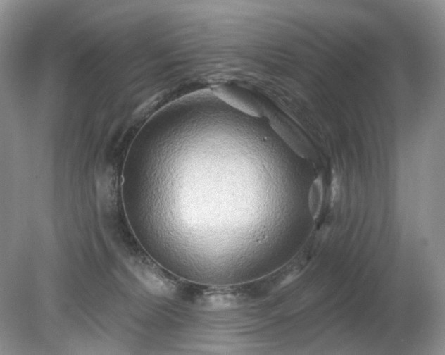 X0000079330228200611251839