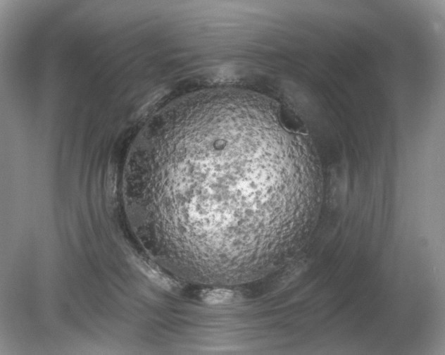 X0000079330230200611251839