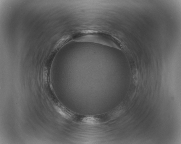 X0000079330231200611251839