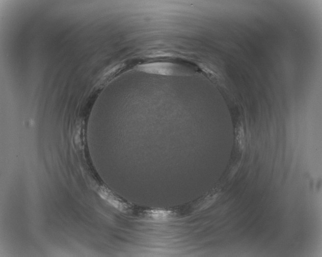 X0000079330233200611251839