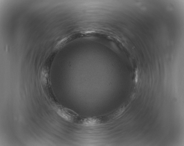 X0000079330235200611251839