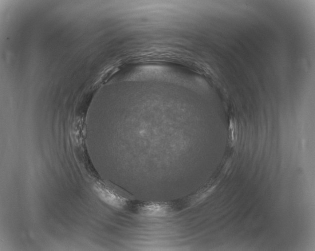 X0000079330237200611251839
