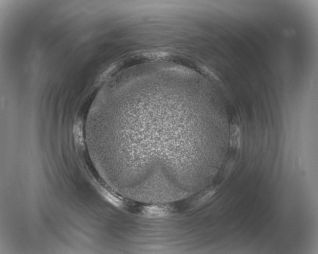 X0000079330238200611251839