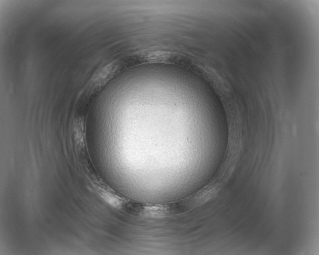 X0000079330240200611251839