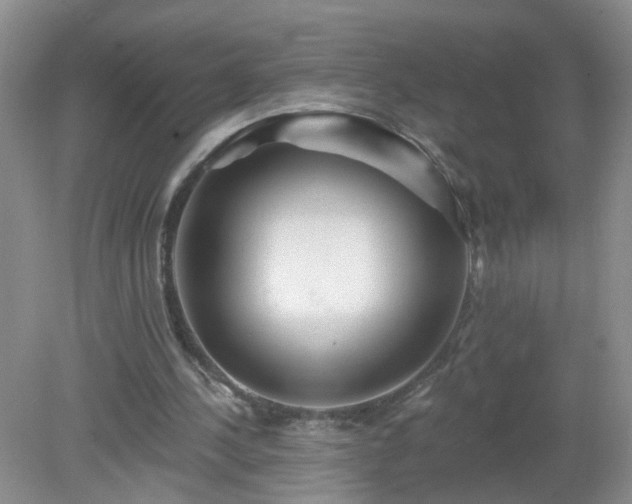 X0000079330244200611251838